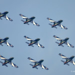 © Air Show 2014 Stefano Spagnolo